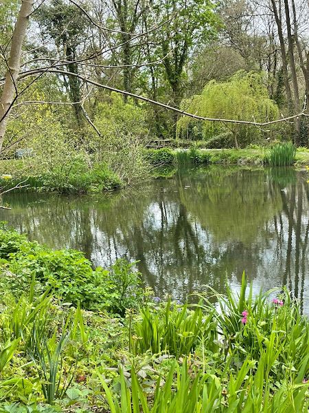 River Allen